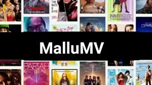 Mallumv